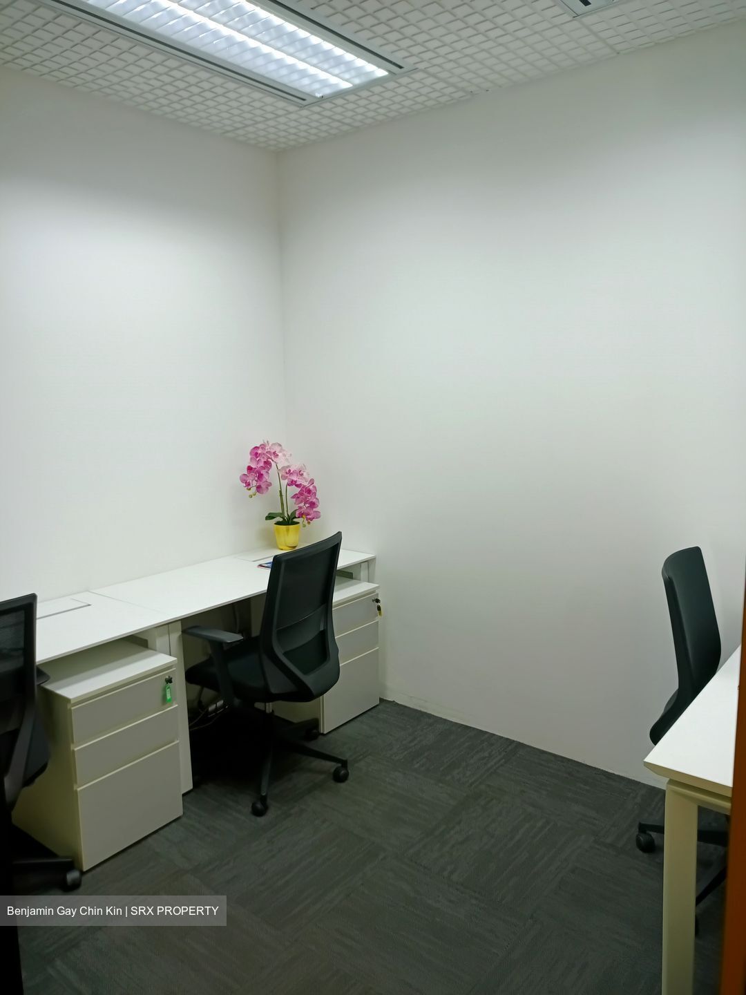 Bugis Junction (D7), Office #540897161